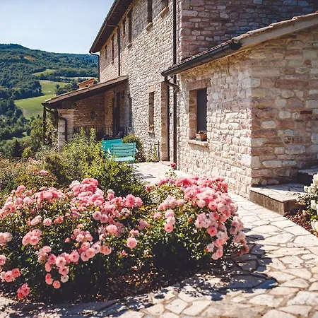 Agriturismo Casal San Sergio-3